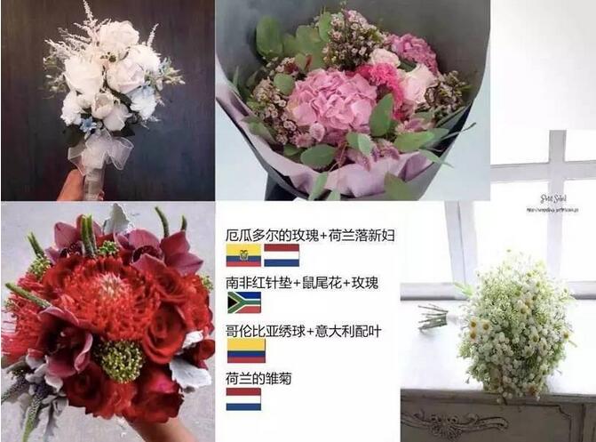鮮花進口報關 進口報關 進口報關公司 鮮花進口報關 進口報關 進口報關公司