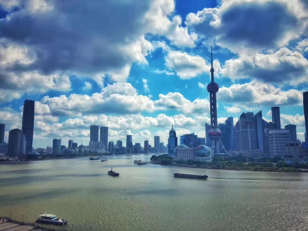 上海報(bào)關(guān)協(xié)會(huì) 上海報(bào)關(guān)協(xié)會(huì)